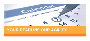 Your Deadline Our Agility